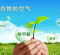 除甲醛對于住房安全和環(huán)境保護(hù)的作用有什么？